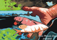 /album/galeria/a12821358-10209163685754999-597152750254118069-n-jpg/